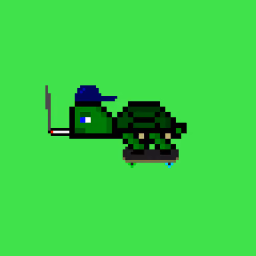 DAO Turtle #529