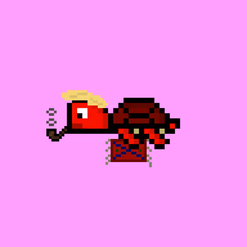 DAO Turtle #9848