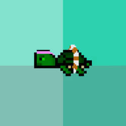 DAO Turtle #1437