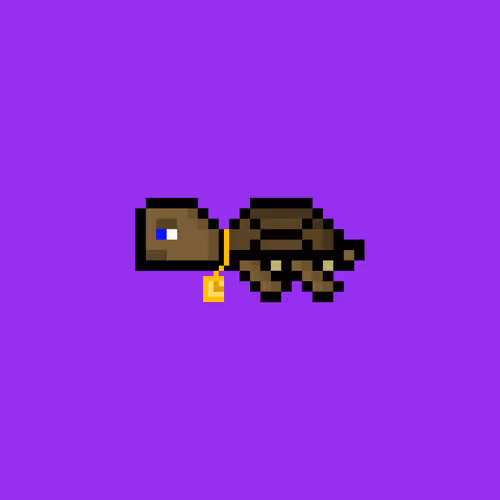 DAO Turtle #9814