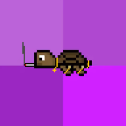 DAO Turtle #8408