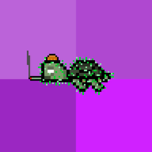 Dao Turtles
