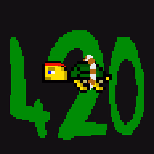 DAO Turtle #9856