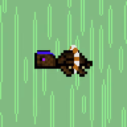DAO Turtle #3915
