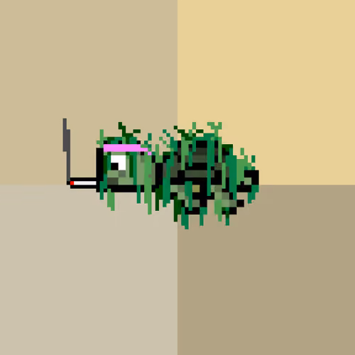 DAO Turtle #3266