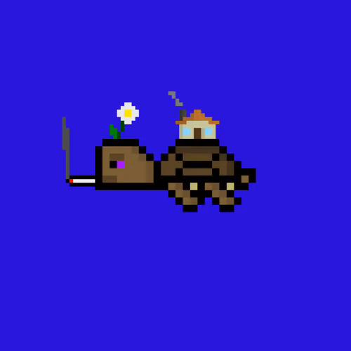 DAO Turtle #2429