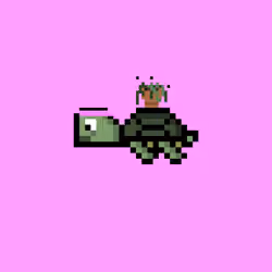 DAO Turtle #7174