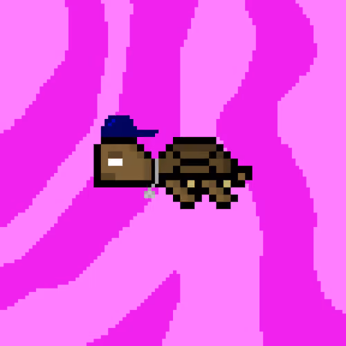 DAO Turtle #1363