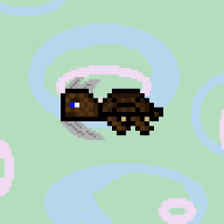 DAO Turtle #1294