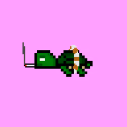 DAO Turtle #1412