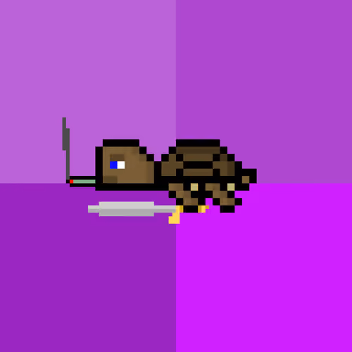 DAO Turtle #2246