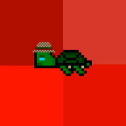 DAO Turtle #4917