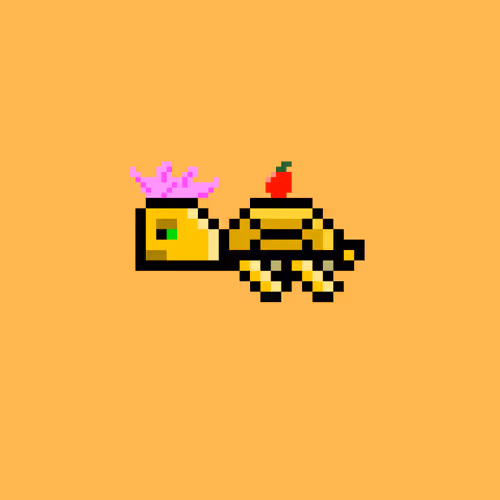 Dao Turtles
