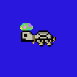 DAO Turtle #1778