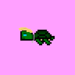 DAO Turtle #5384