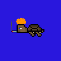 DAO Turtle #6559