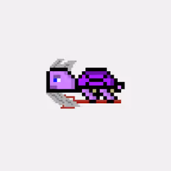 DAO Turtle #4933