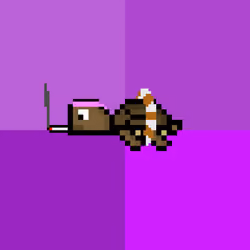 DAO Turtle #9326