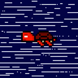 DAO Turtle #1422
