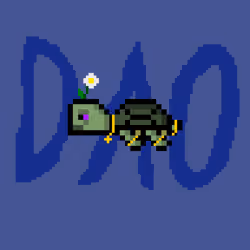 DAO Turtle #884