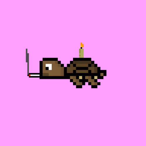 DAO Turtle #9294