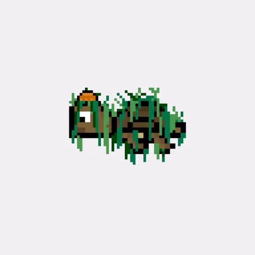 DAO Turtle #3446