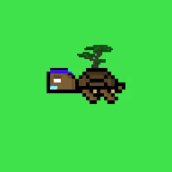 DAO Turtle #1696