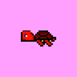 DAO Turtle #8247