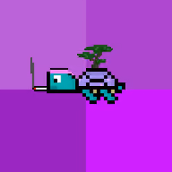 DAO Turtle #4852