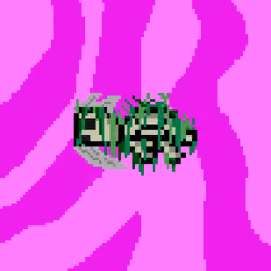 DAO Turtle #3048