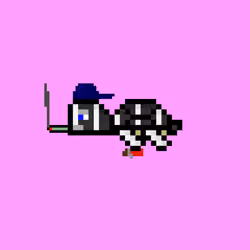 DAO Turtle #5555