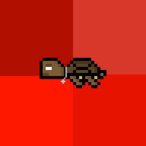 DAO Turtle #6894
