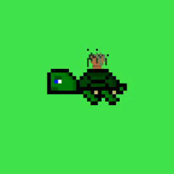 DAO Turtle #4826