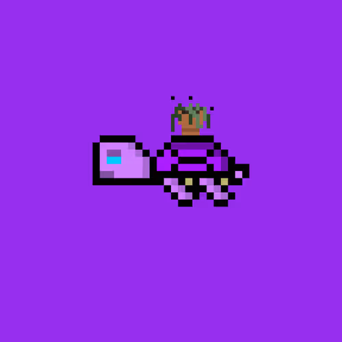 DAO Turtle #7698