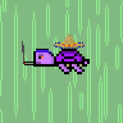 DAO Turtle #6008