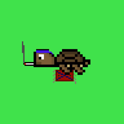 DAO Turtle #1071