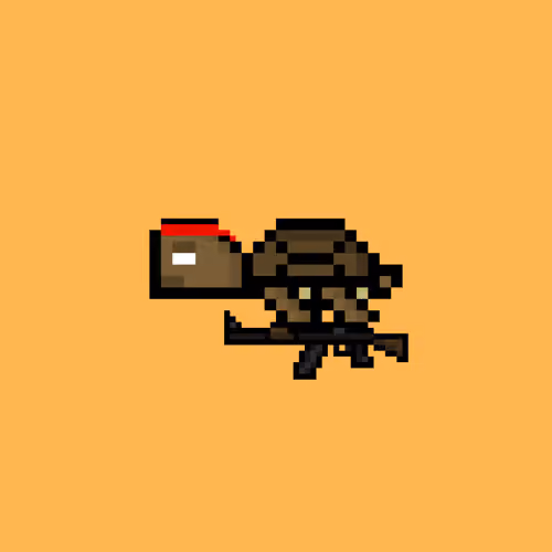 DAO Turtle #2438