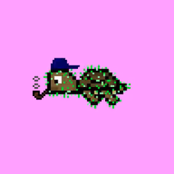 DAO Turtle #3127