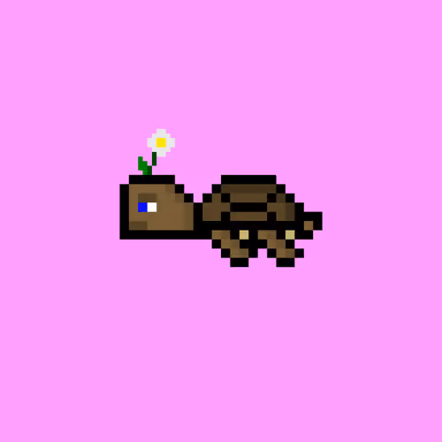 DAO Turtle #2517