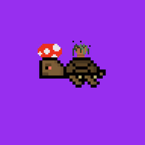 DAO Turtle #207