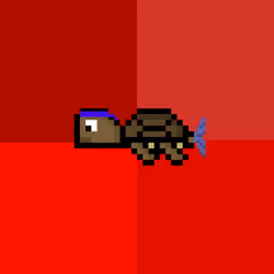 DAO Turtle #1164