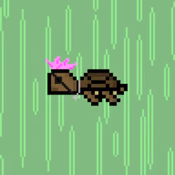 DAO Turtle #4781