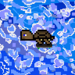 DAO Turtle #2480