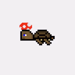 DAO Turtle #8530