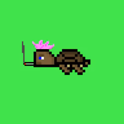 DAO Turtle #5337