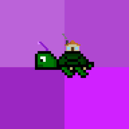 Dao Turtles