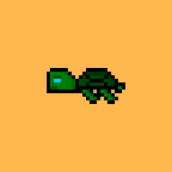 DAO Turtle #4484