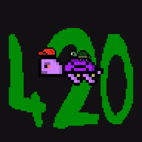 DAO Turtle #1150