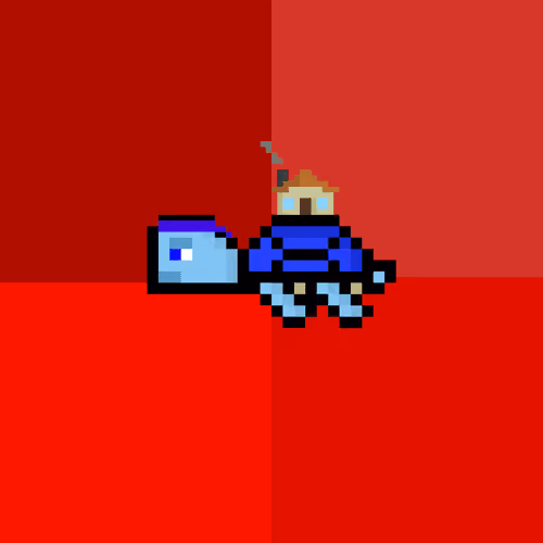 DAO Turtle #5878