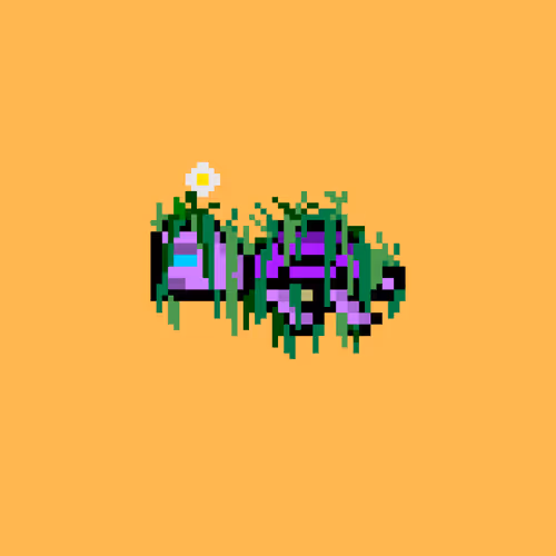 Dao Turtles
